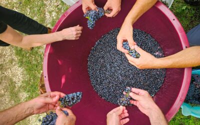 Tour di comunità